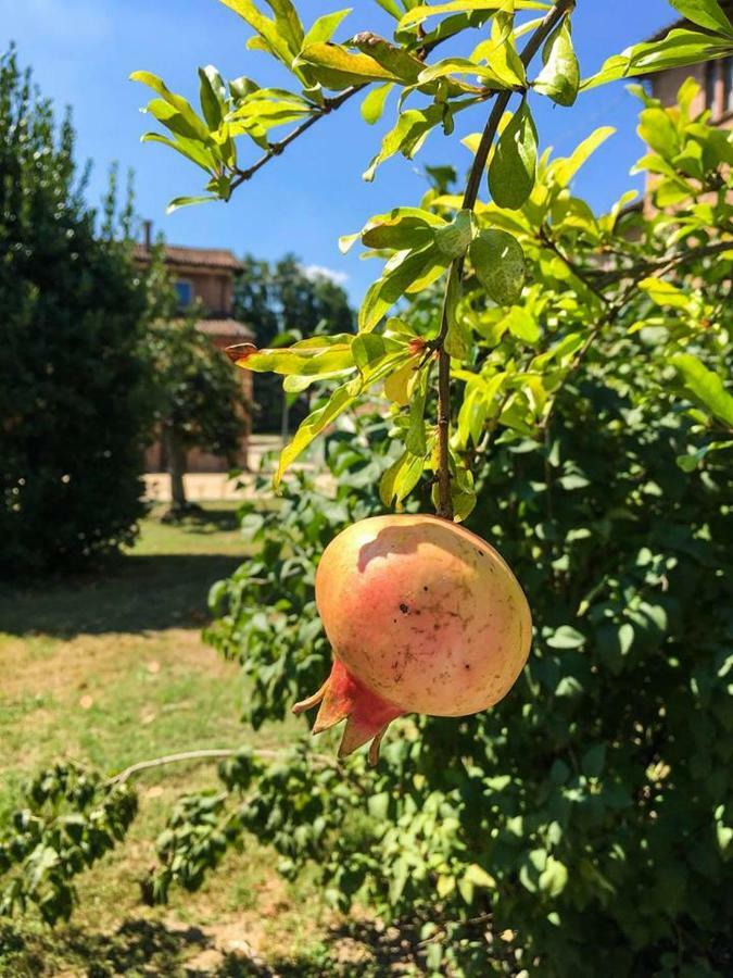 Borgo Sartoni Case Vacanze Appartamenti In Affitto Bologna Exterior foto